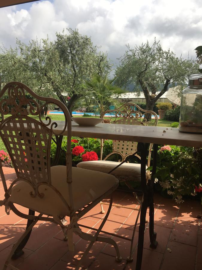 Double Room with Pool View,657567135:JPEG